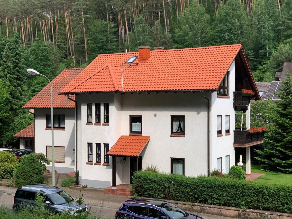 Ferienwohnungen Im Herzen Des Pfaelzerwaldes Elmstein Exterior foto