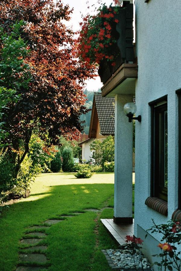 Ferienwohnungen Im Herzen Des Pfaelzerwaldes Elmstein Exterior foto