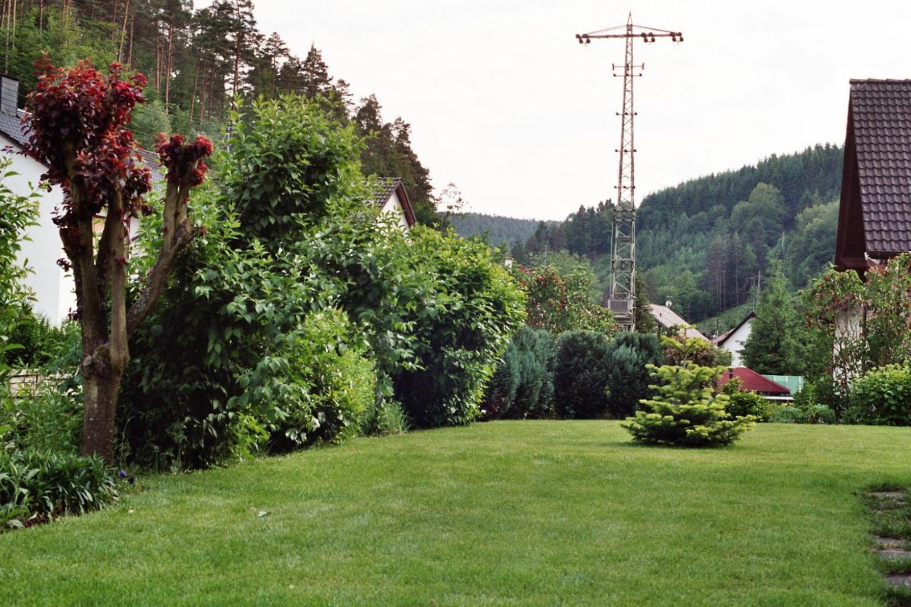 Ferienwohnungen Im Herzen Des Pfaelzerwaldes Elmstein Exterior foto