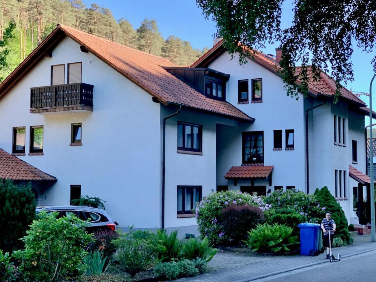 Ferienwohnungen Im Herzen Des Pfaelzerwaldes Elmstein Exterior foto