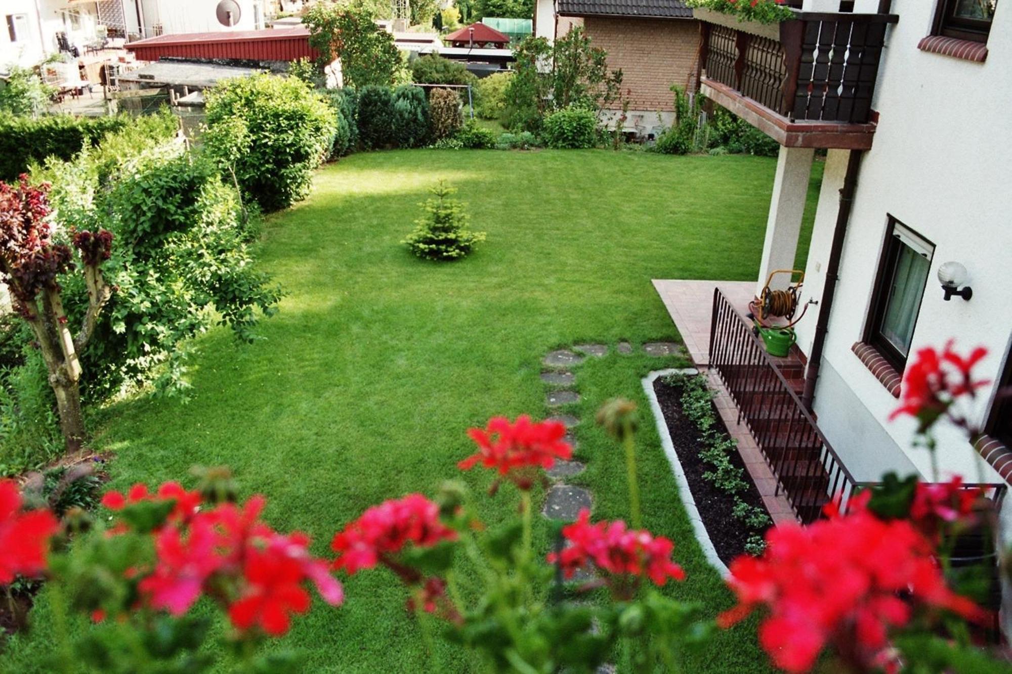 Ferienwohnungen Im Herzen Des Pfaelzerwaldes Elmstein Quarto foto